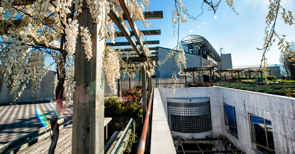 Registration open – Proteomics & Metabolomics Summer School – ItPA–CEINGE 2026 – ITPA XX INTERNATIONAL CONGRESS – NAPLES -ITALY